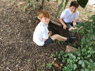 Year 4 have been creating ‘Bug Hotels’ in our outdoor learning environment as part of our science unit on ‘Living Things and their Habitats’